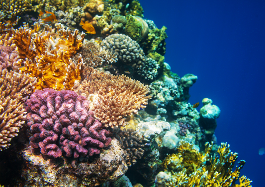 Five Signs Your Body has Reached its Tipping Point 💥 Don’t Wait for the Crash