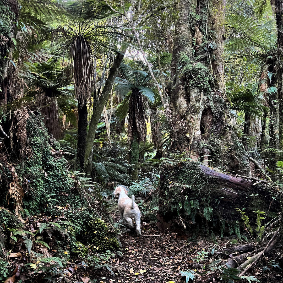 The perils of urban living