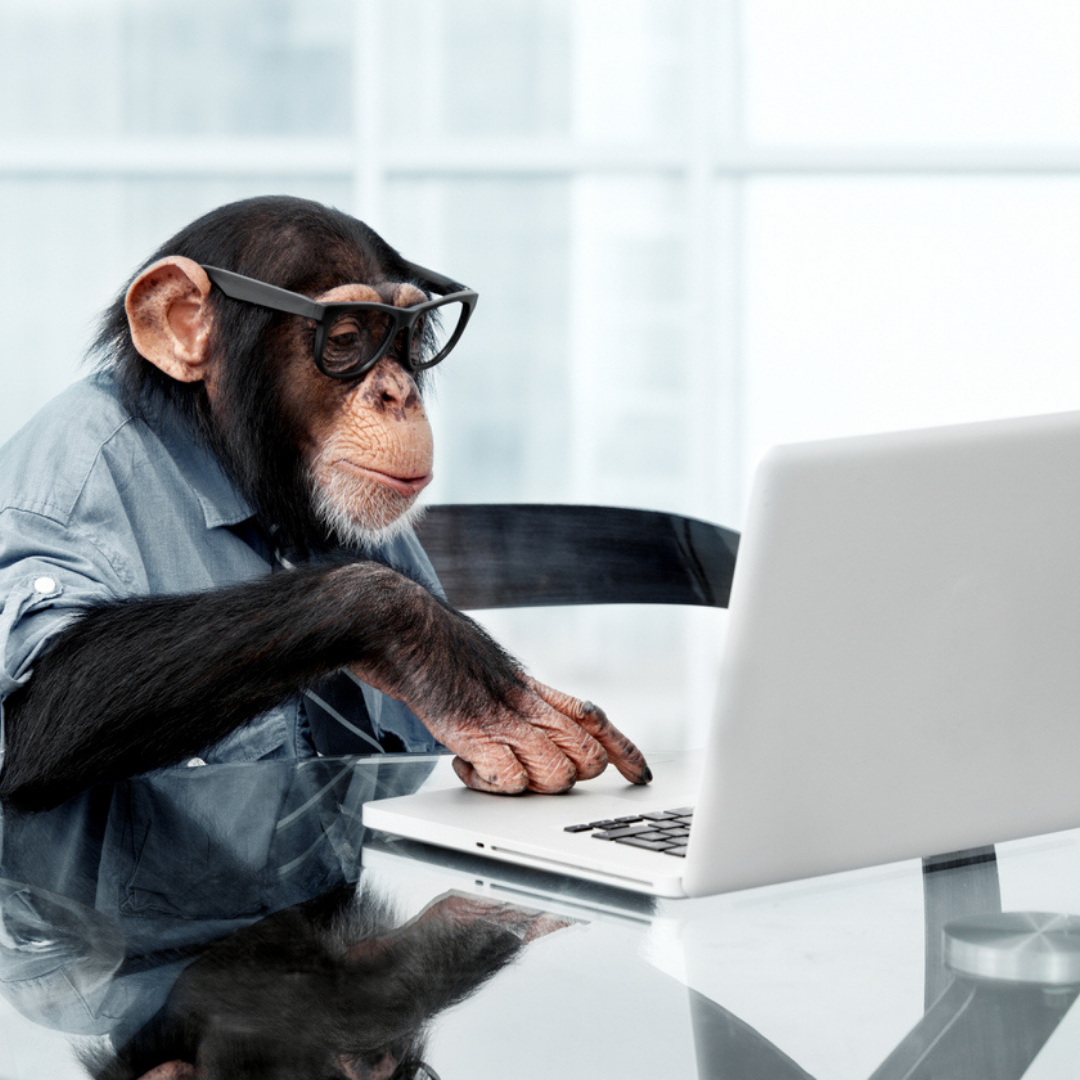 Nurturing mental wellness