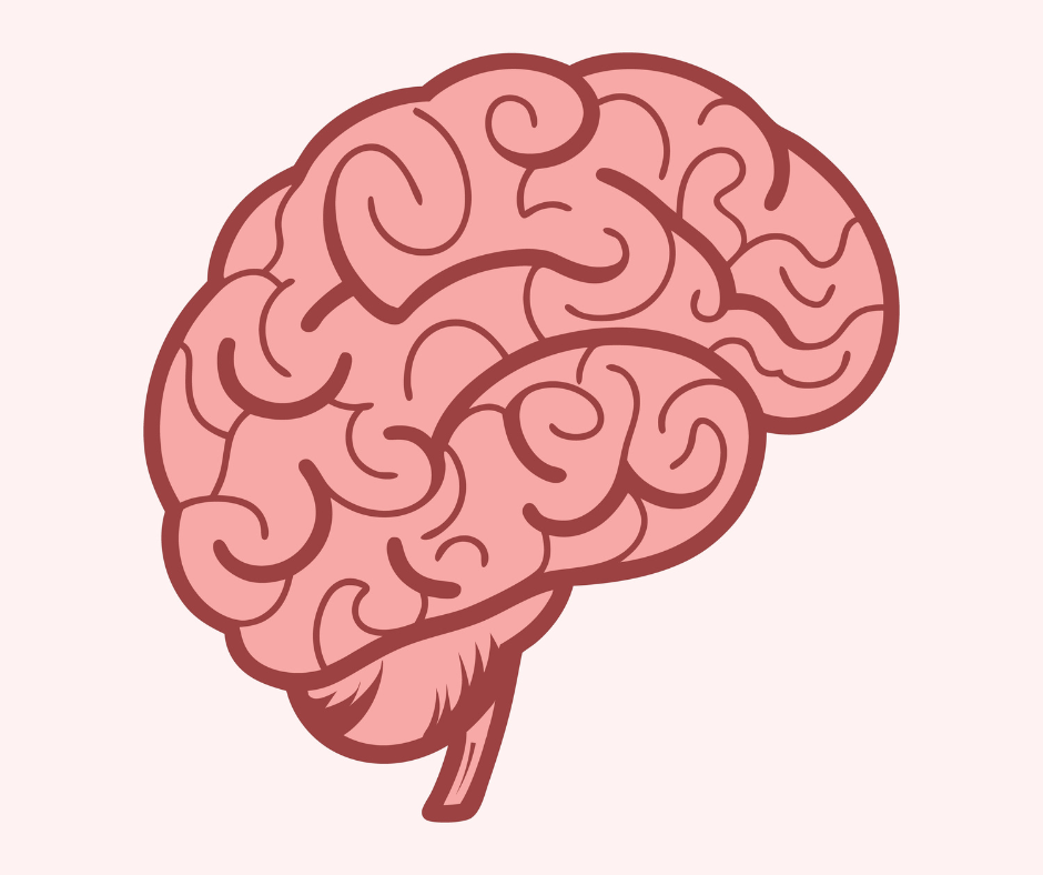 Forgetting on Purpose? Why Your Brain Picks Favourites 🧠